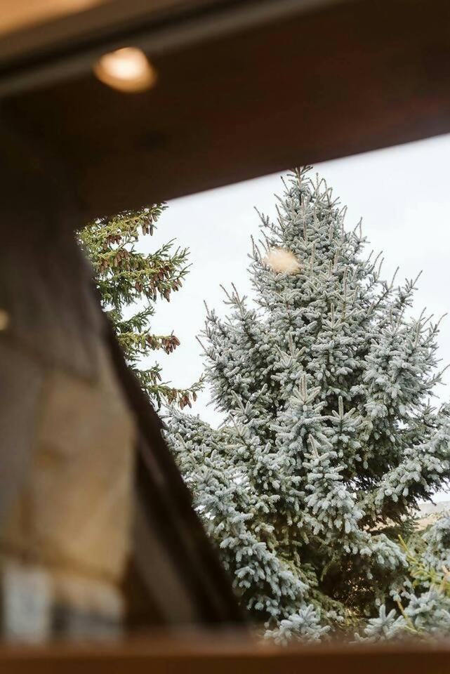 Olympia Tus Mascotas Son Bienvenidas Formigal Exteriér fotografie